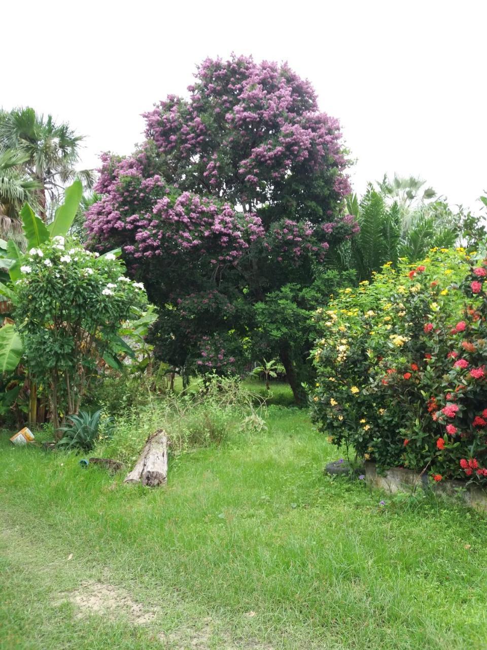 Sitio Preguicas Estalagem Barreirinhas